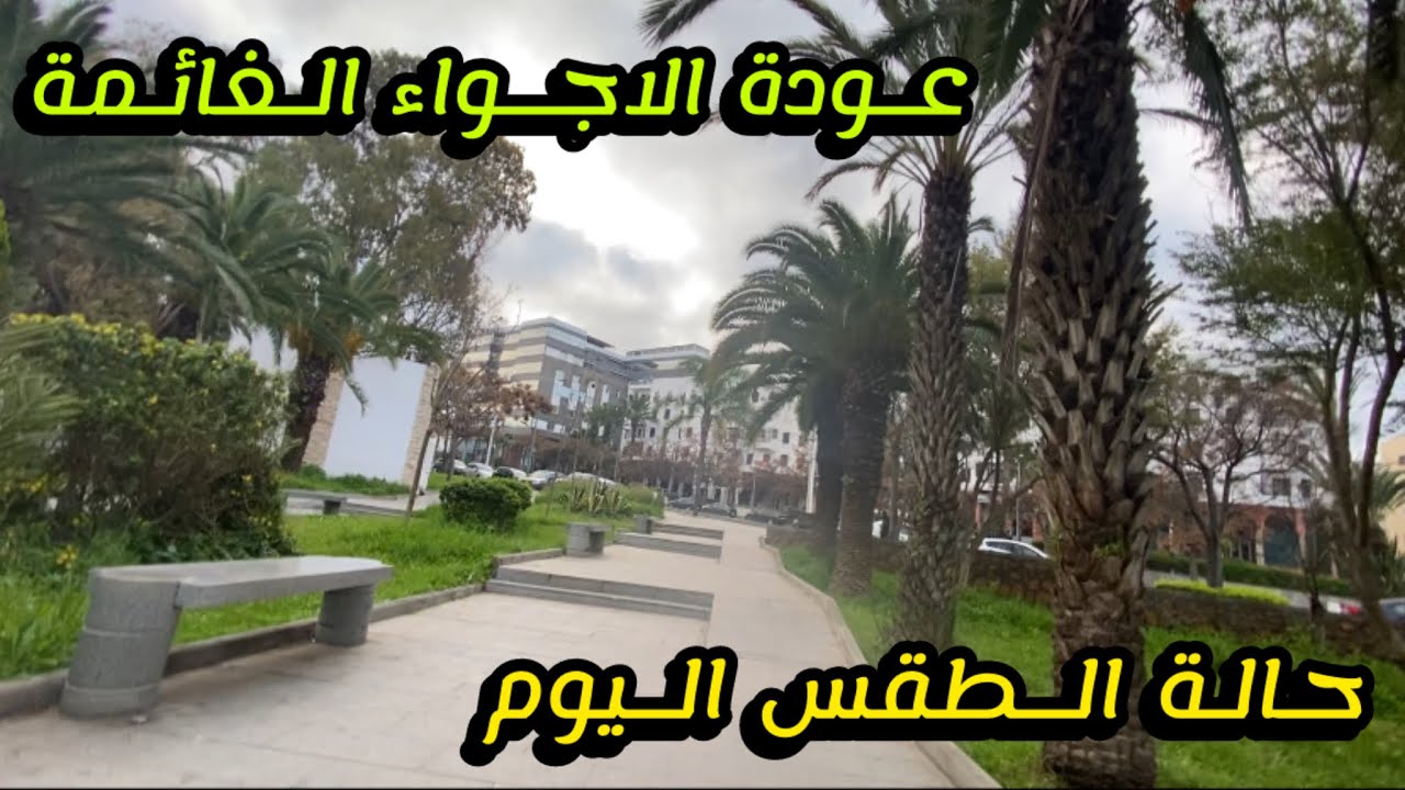 حالة الطقس المتوقعة اليوم : عودة الاجواء الغائمة مع نزول في درجات الحرارة 