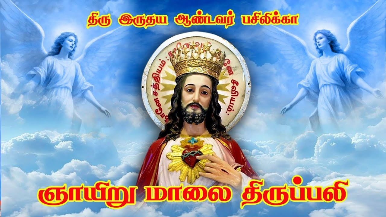 🔴நேரலை.15.02.2026. தூய இருதய ஆண்டவர் பசிலிக்கா, புதுச்சேரி |  திருப்பலி.06.15.PM