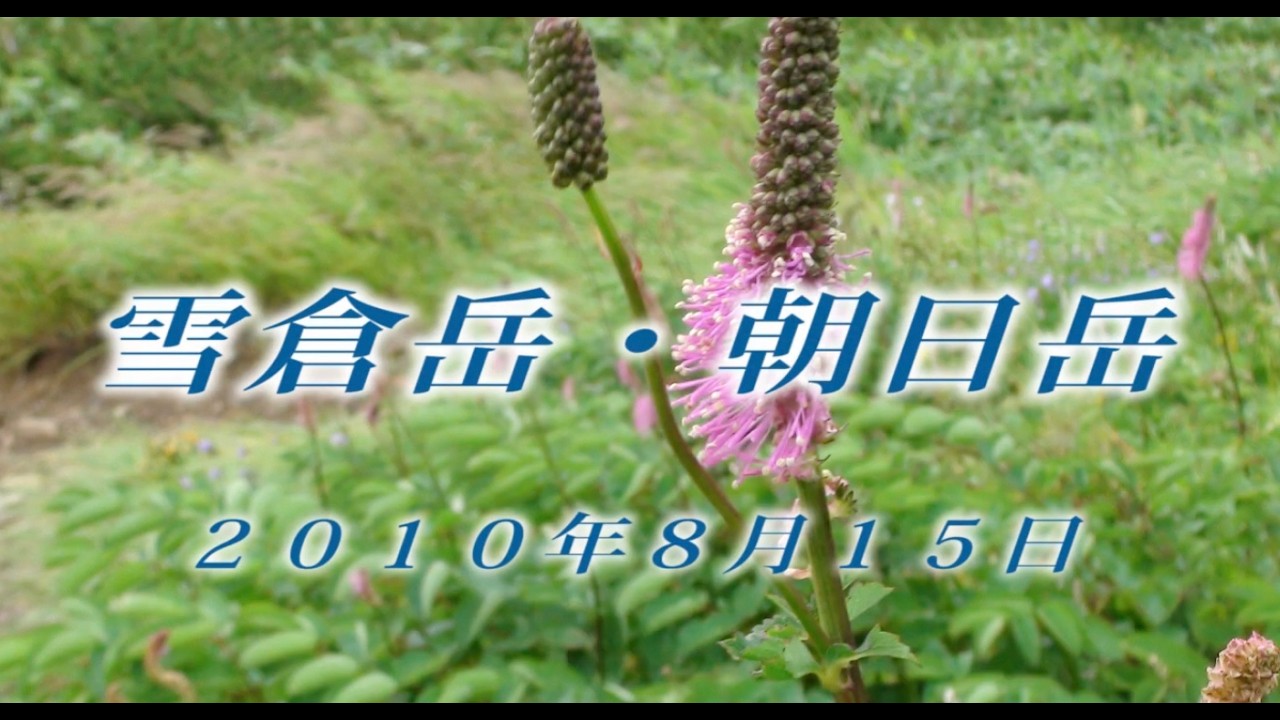 207 北アルプス 白馬岳8月2010年8月15日雪倉岳朝日岳 - 生物多様性体験保全センター 高山植物を主とした野生植物の映像集