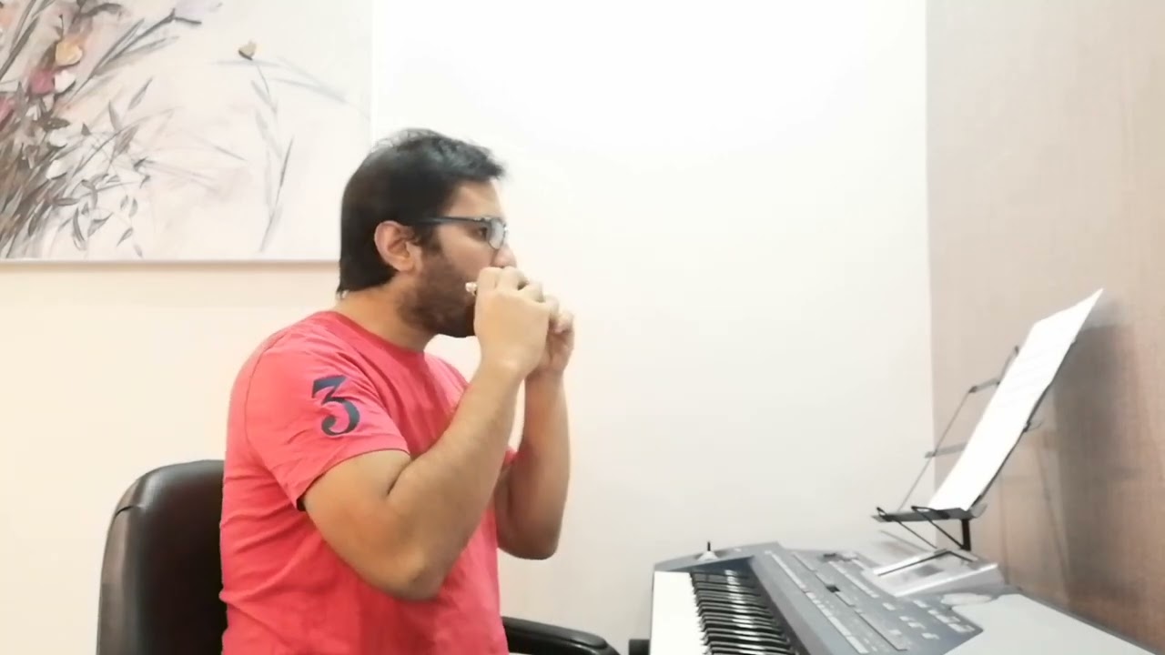 Russian nights on harmonica