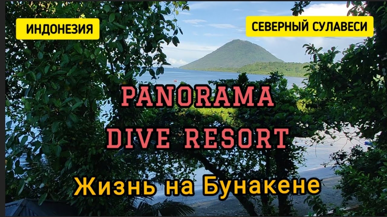 Жизнь на Бунакене. Panorama Dive Resort: обзор номера, питание, природа, релакс. Сулавеси. Индонезия