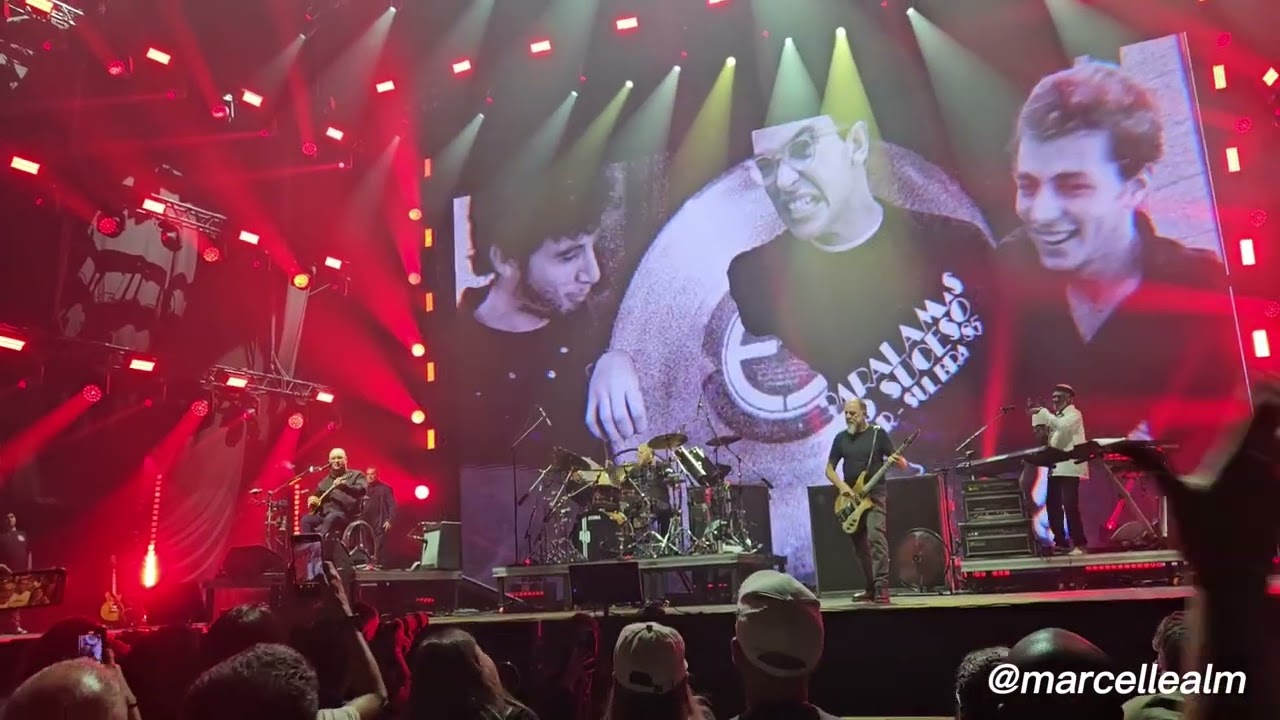 Paralamas do Sucesso - Meu Erro
