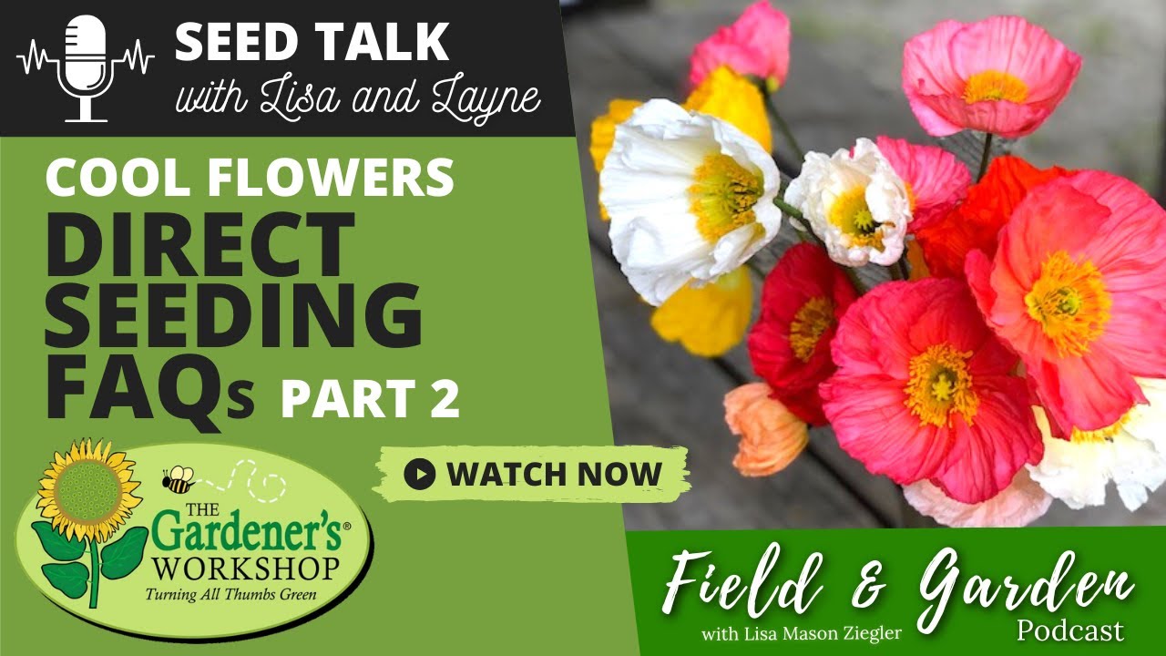 Seed Talk #5 - Cool Flowers Direct Seeding FAQs, Part 2