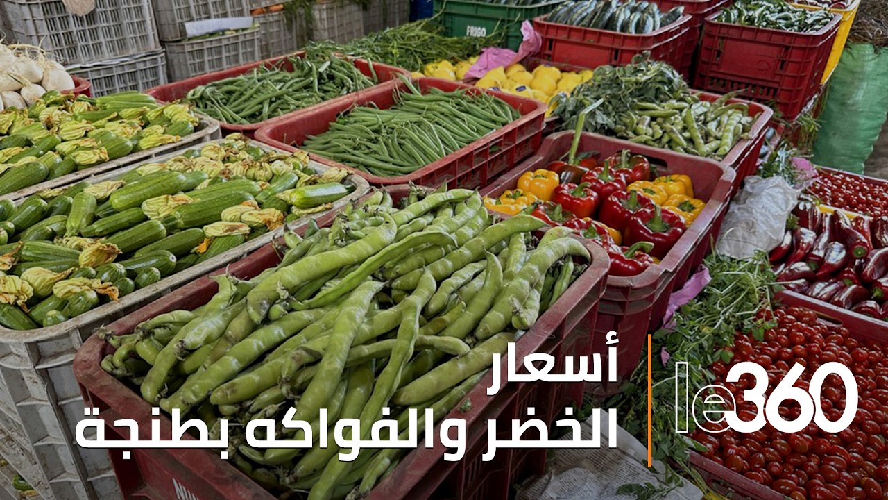 بعد تسجيل تراجع في الأسعار.. جولة داخل سوق الجملة للخضر والفواكه بطنجة