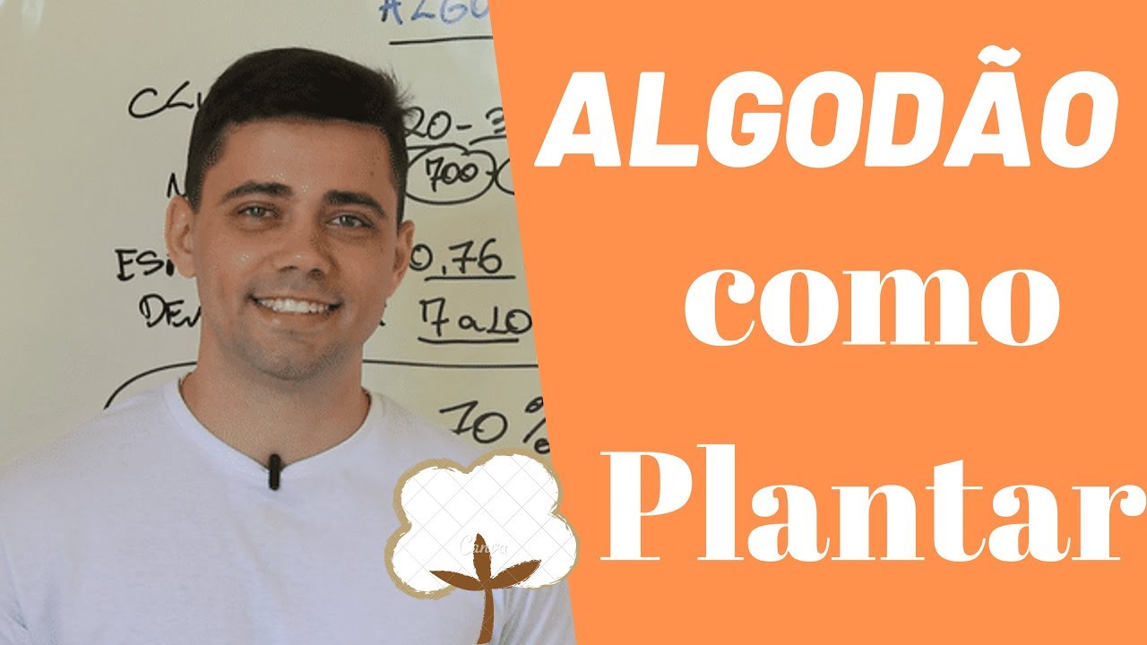 ALGOD&Atilde;O | #1 Necessidades b&aacute;sicas para plantio - Daniel Scot&aacute;