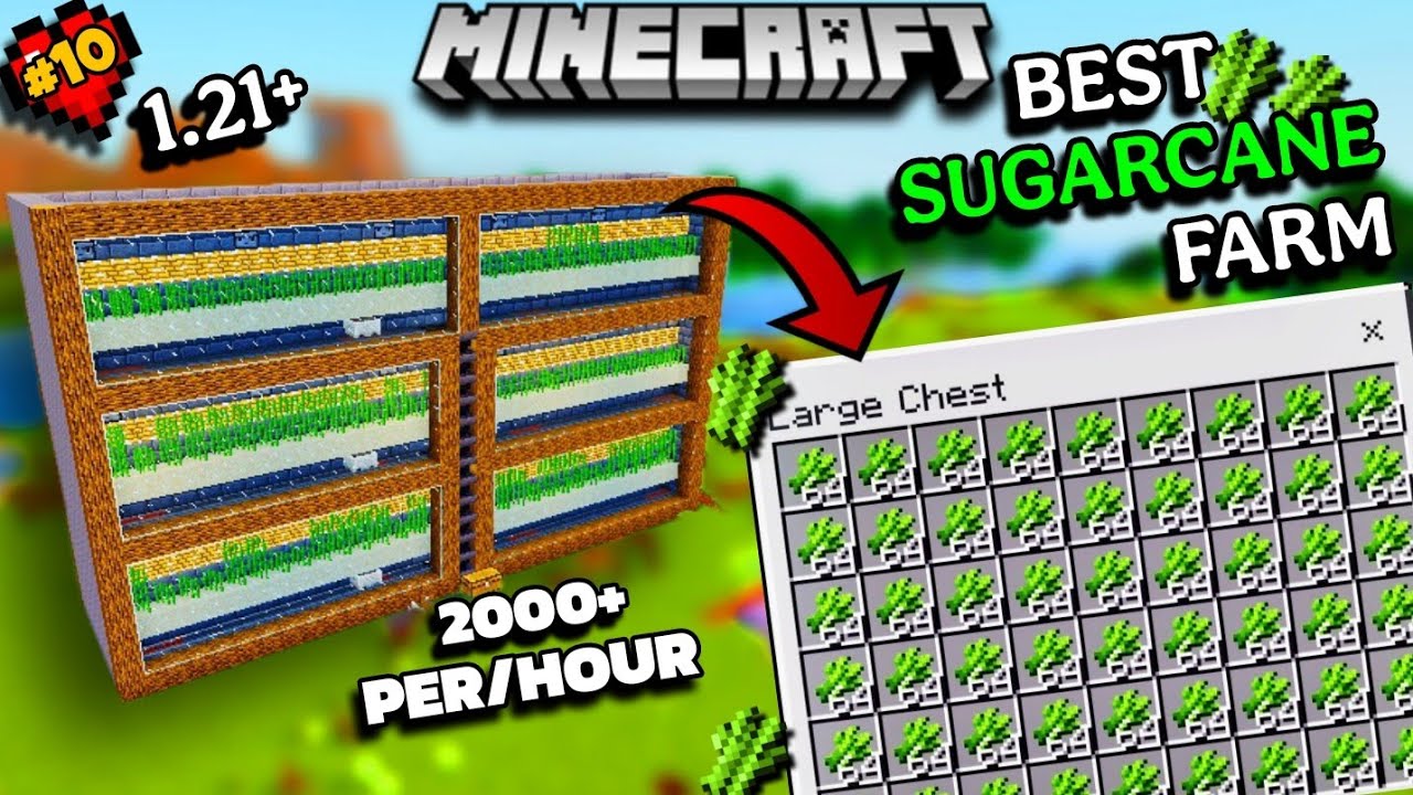 I Made The Best 🤩 UNLIMITED Sugarcane Farm In Minecraft PE/Bedrock | #10 |