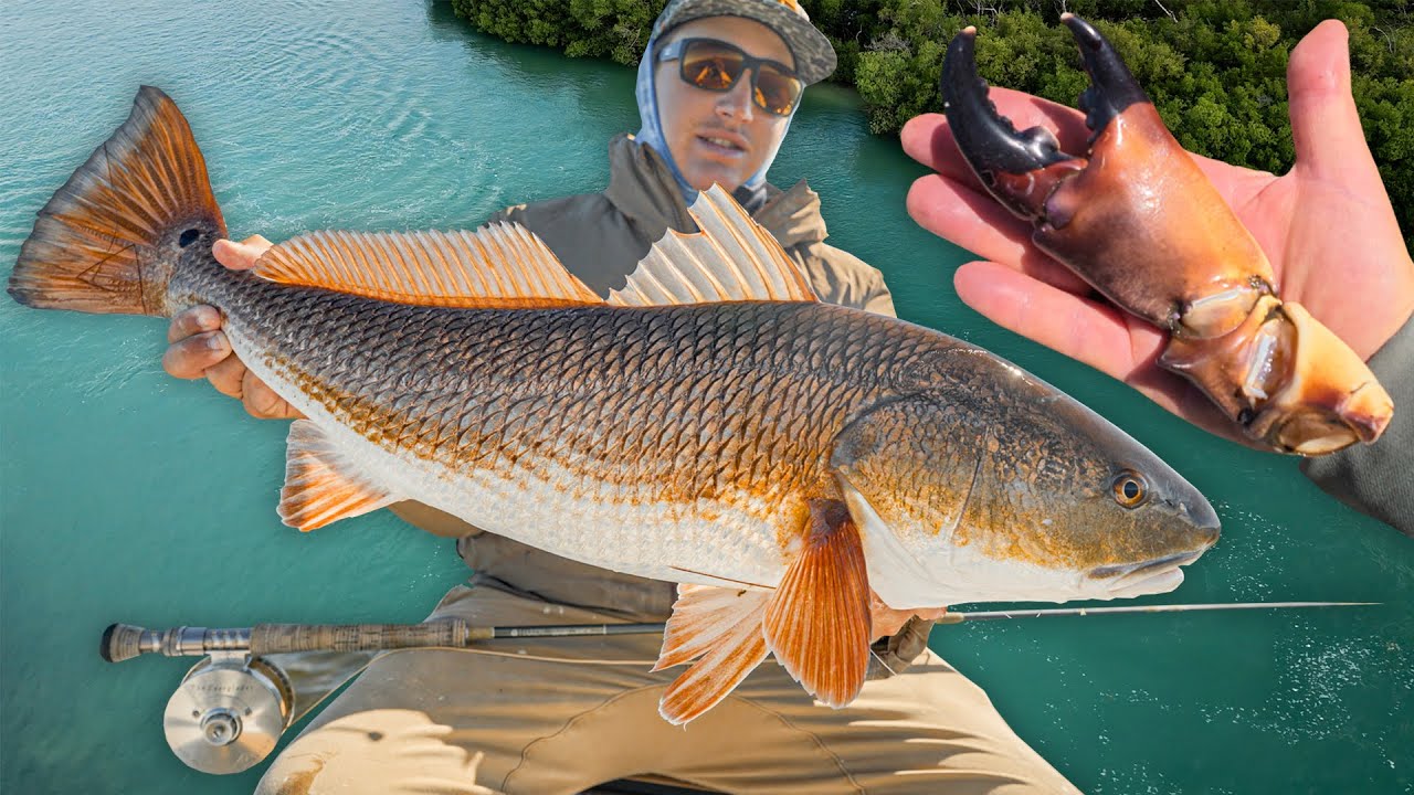 Fishing Redfish, Snapper, and $$$ Stone Crabs!! Florida Wintertime Fun