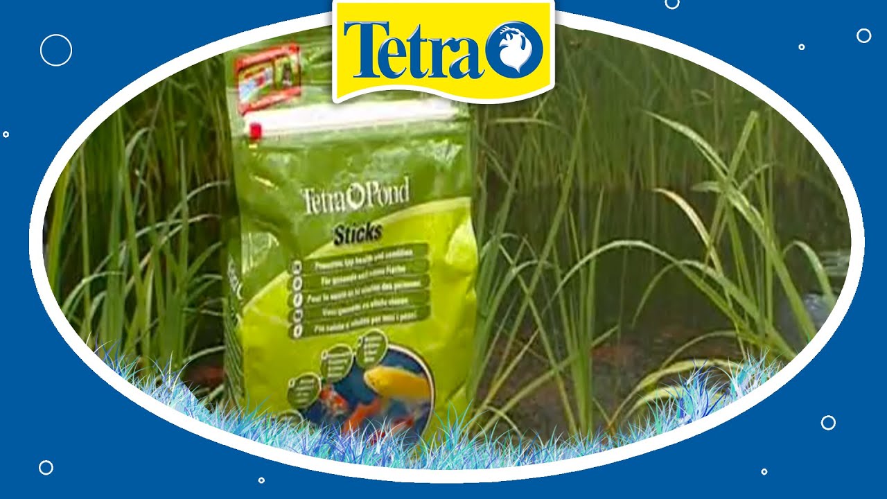 Alles in einem Set f&uuml;r ihren Teich: TETRA Pond