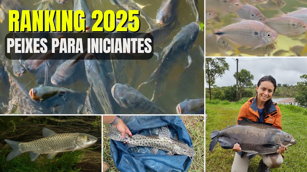 Ranking 2025 das espécies de peixes mais lucrativas para iniciantes