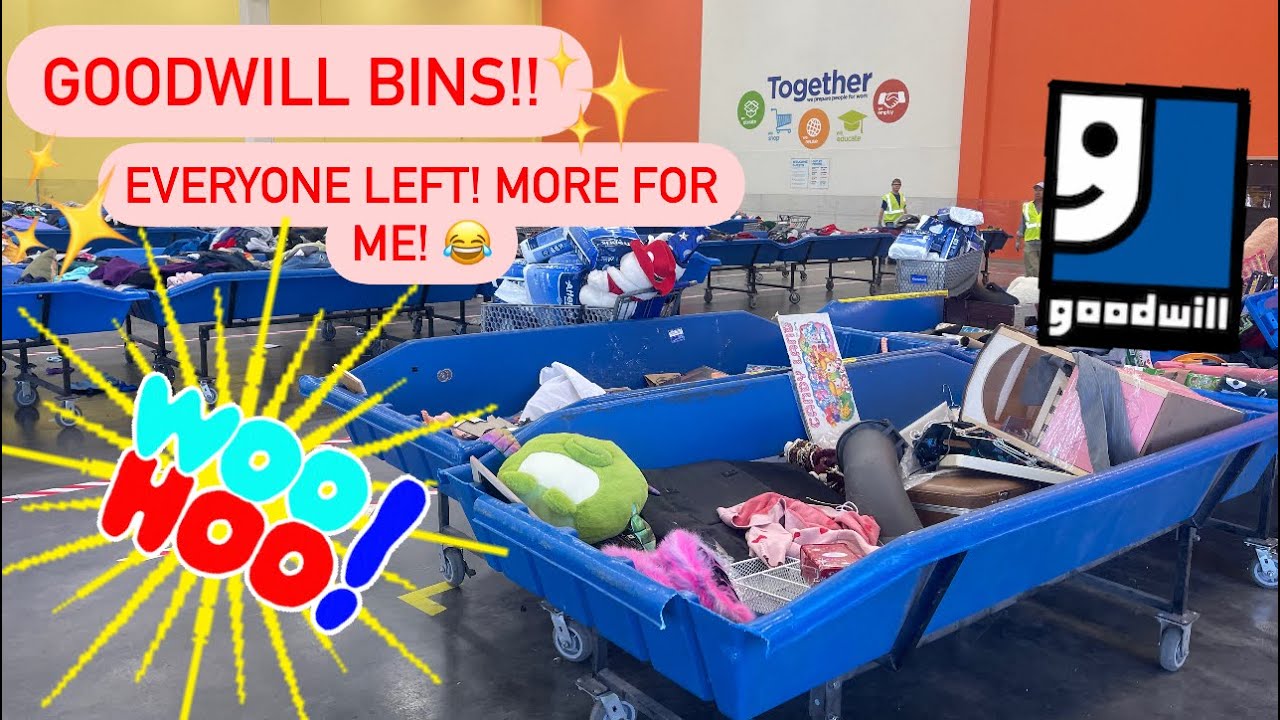 Let’s Go TO GOODWILL Bins! 29 Pounds For $2.19/Pound! Thrift With Me For Resale! +HAUL!