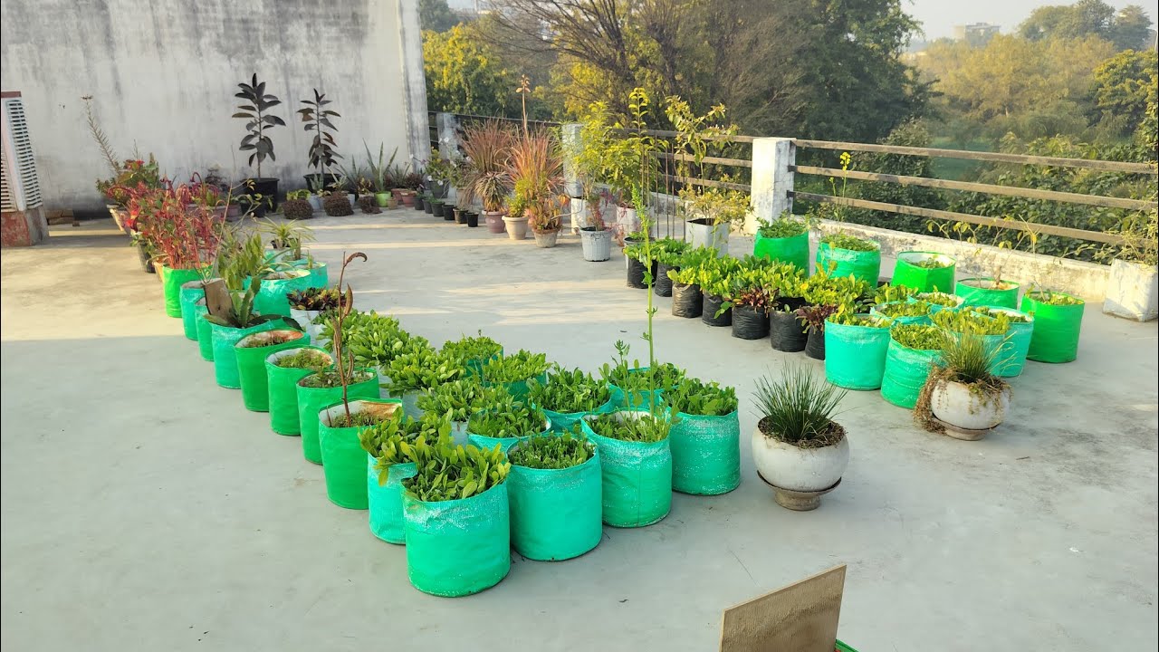 gulab garden  is live