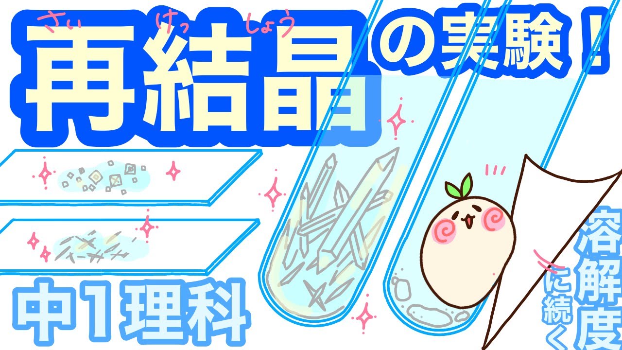 【中1理科c17】水に溶けた物質を再び取り出す！再結晶だ！【塩化ナトリウムと硝酸カリウム】