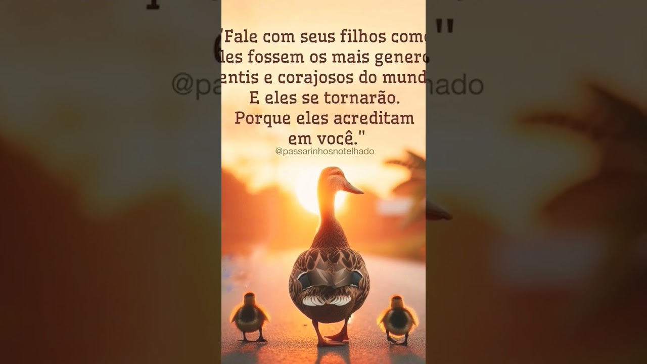 #sabedoriadivina