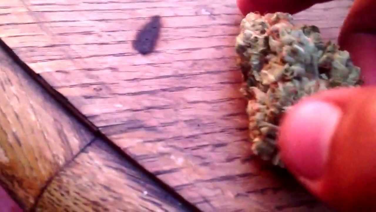 Prop 215 compliant, Marvelous Cali sunset enjoyed with TOP NOTCH OG