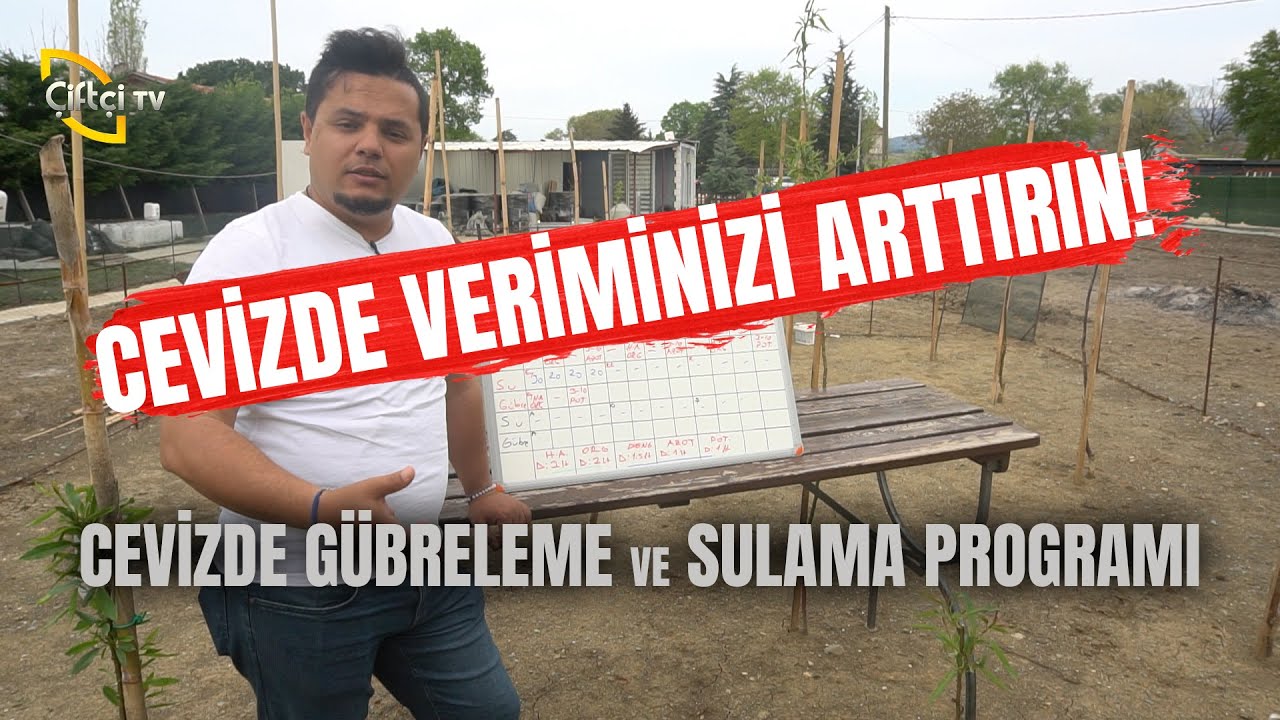 Cevizde Veriminizi Arttırın (Cevizde gübreleme ve sulama programı) - Çetin Ceviz