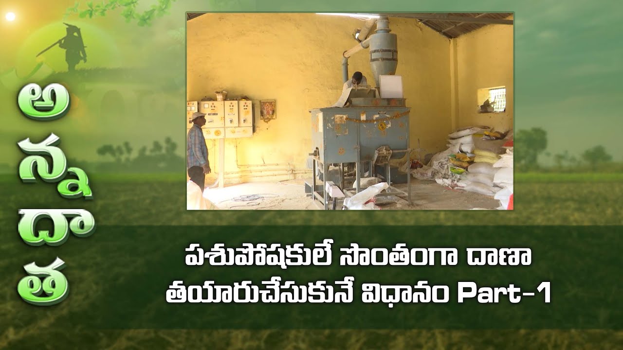 Concentrate feed mix preparation with rich nutrients at low cost for milch animals | ETV