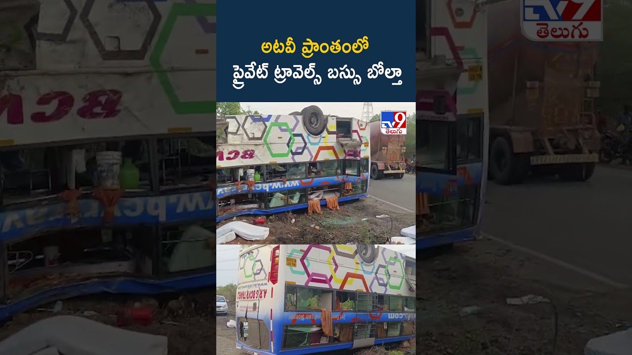 Kadapa: Private travels bus overturns in forest area - TV9