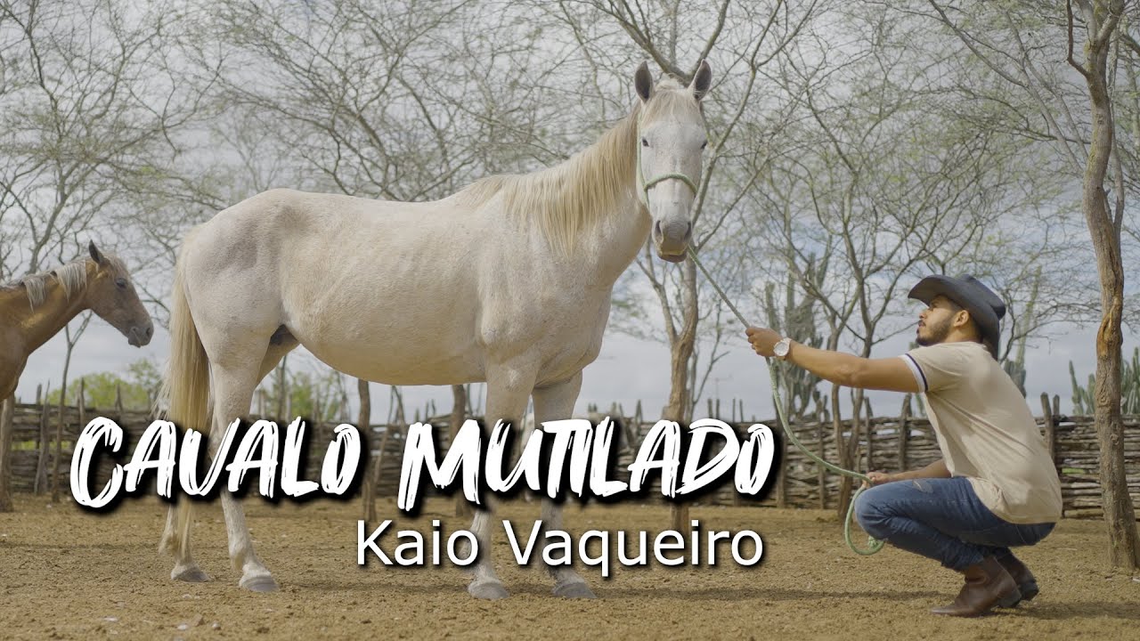 CAVALO MUTILADO Kaio Vaqueiro ( CLIP OFICIAL )
