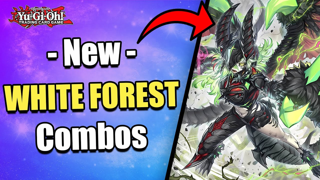3 MUST KNOW COMBOS!!! | NEW PURE WHITE FOREST COMBOS! | POST ALLIANCE INSIGHT! | Yu-Gi-Oh!