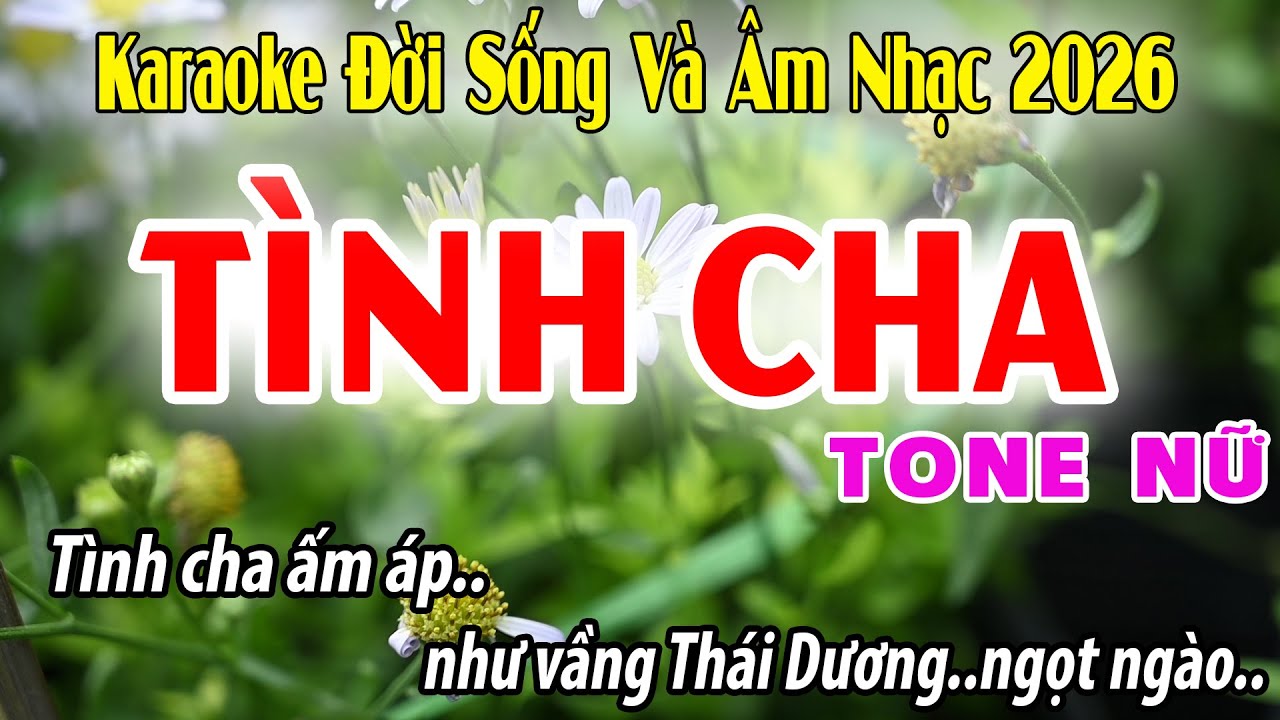 Tình Cha Tone Nữ | Dm | Karaoke Đời Sống Và Âm Nhạc | Beat 2026