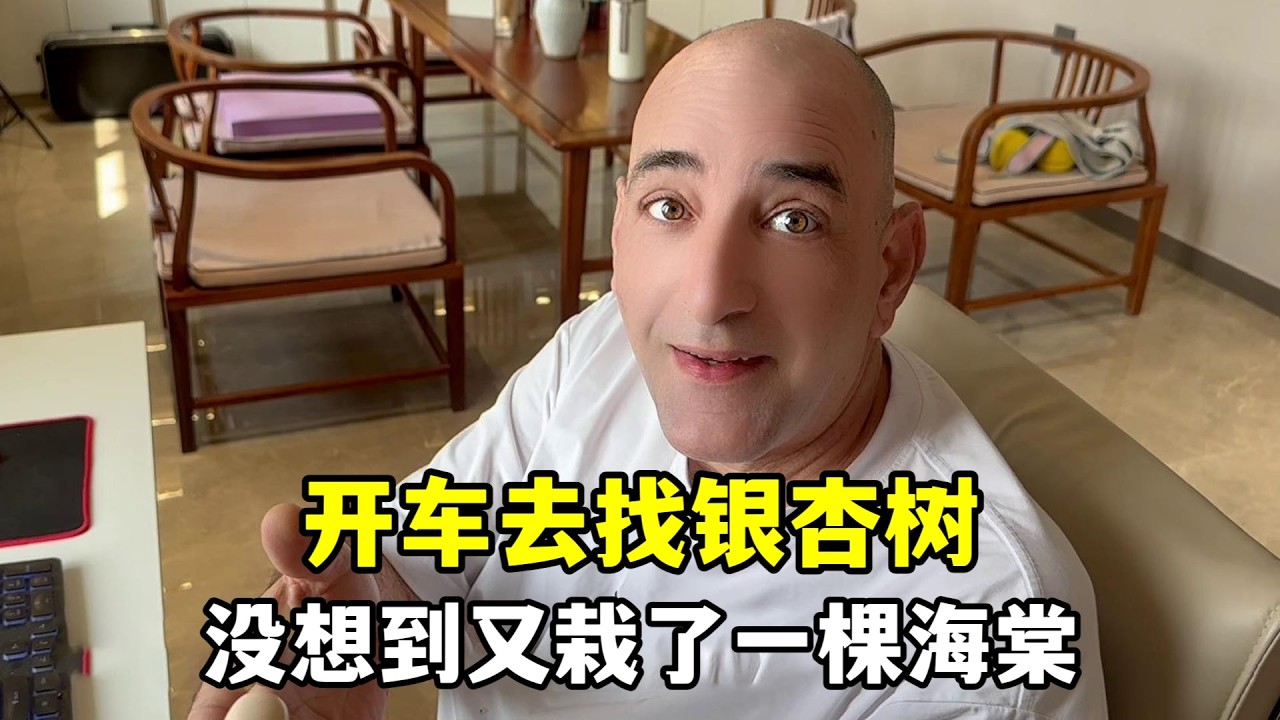 一見鍾情，又給院子裡栽了一棵海棠，這麼多綠植，滿院春光惹人醉