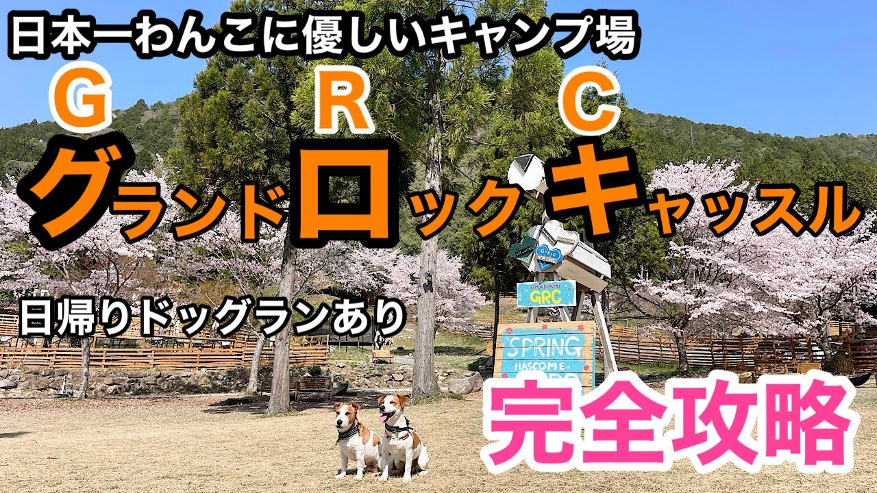 【キャンプ】日本一わんこに優しいキャンプ場を徹底解説‼️