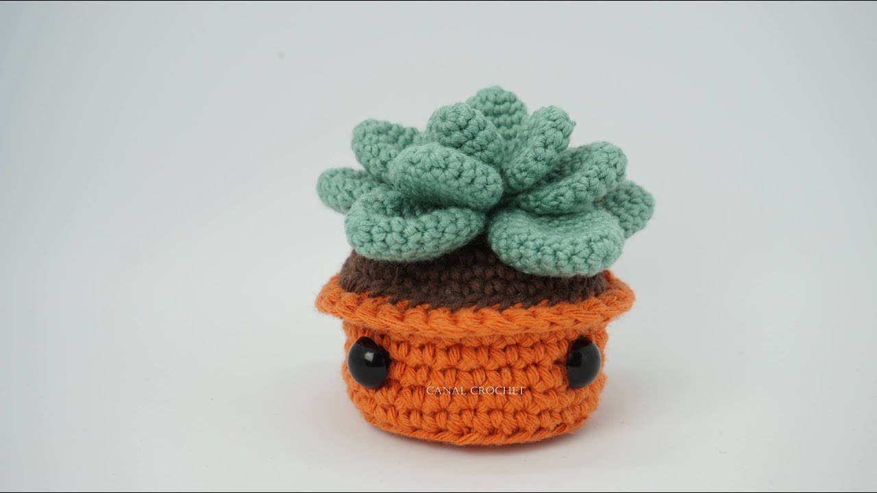 Planta suculenta amigurumi