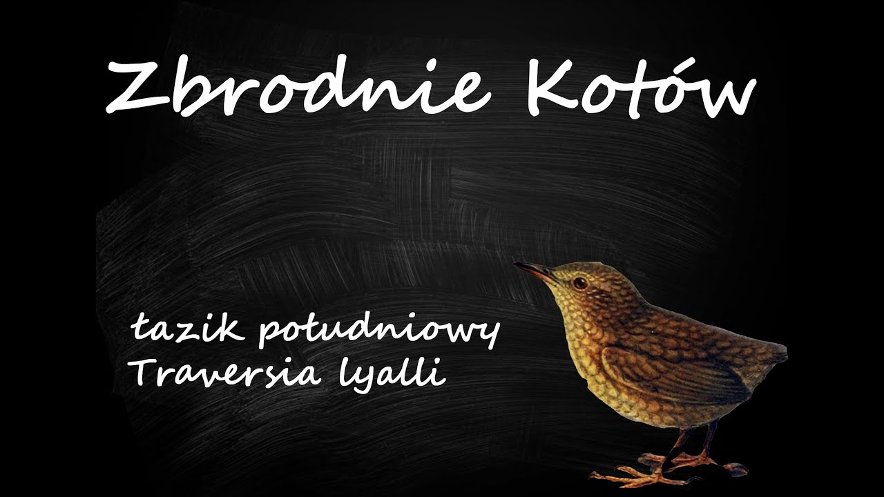 Zbrodnie kot&oacute;w - Historia łazika południowego.