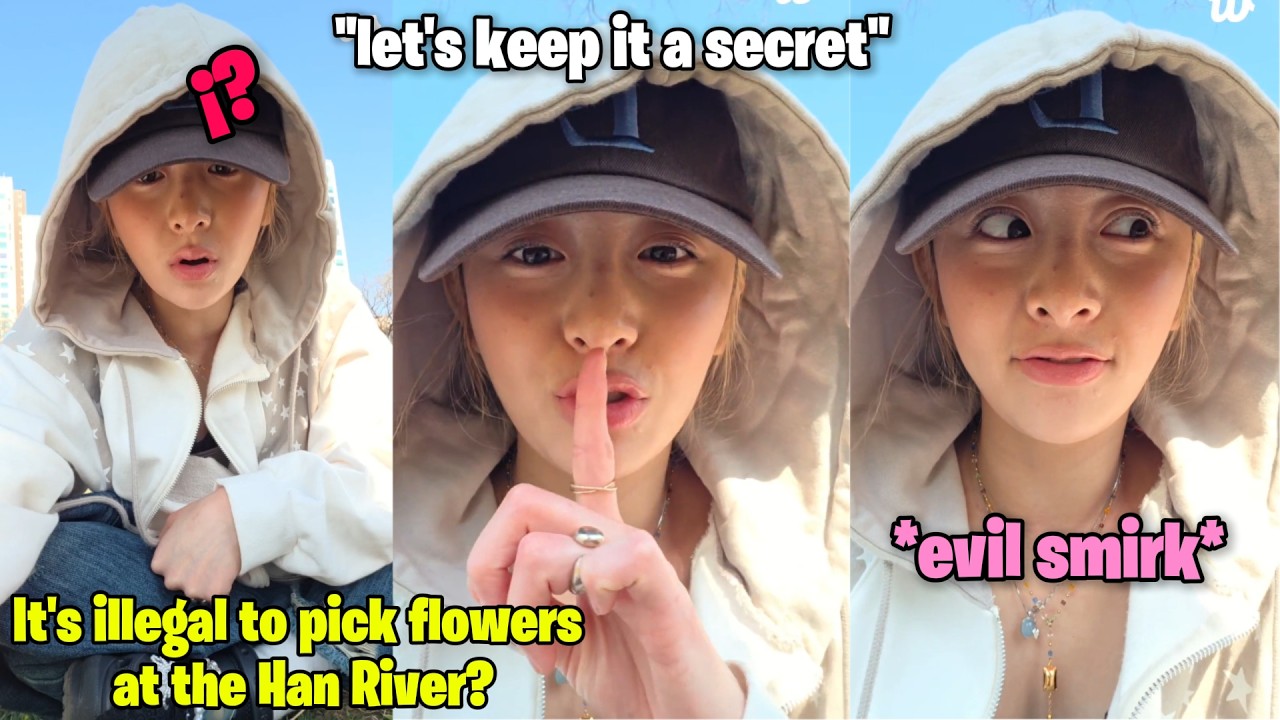 Yunjin&rsquo;s reaction to finding out it&rsquo;s illegal to pick flowers at the Han River