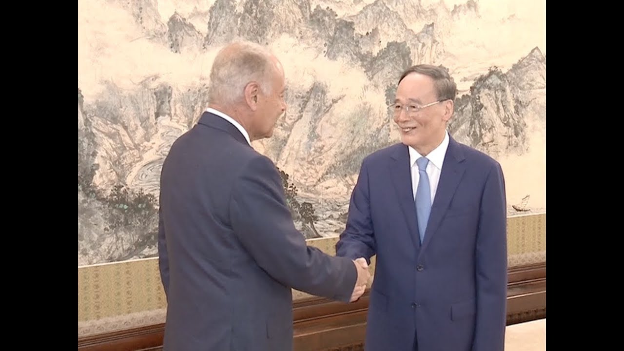 Chinese Vice President Meets with Arab League Secretary-General