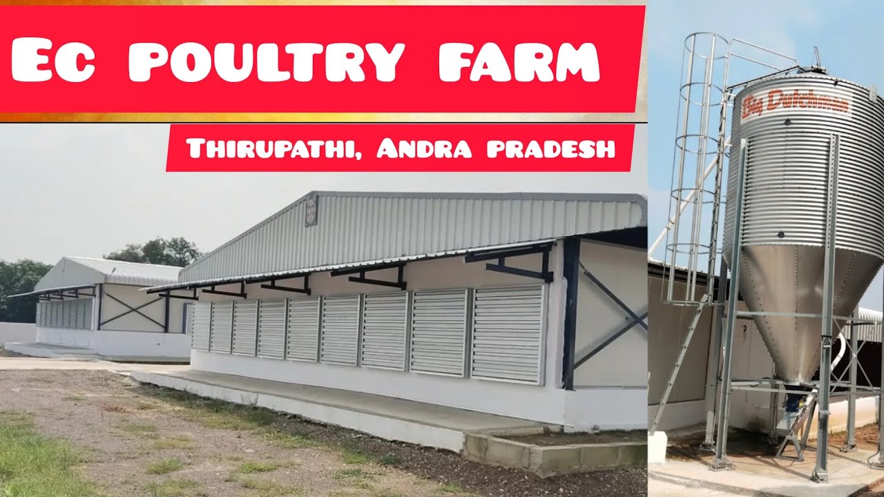 EC POULTRY FARM