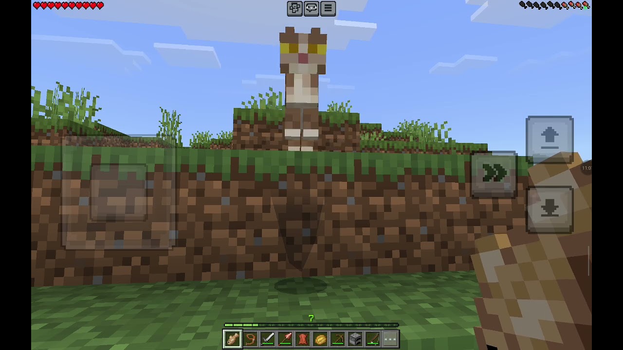 Minecraft oynadım bölüm 7 ( 4 kediler )