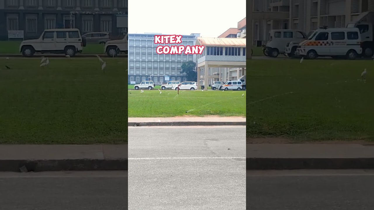 Kerala kitex company #kitexboys #kitexboysoffical