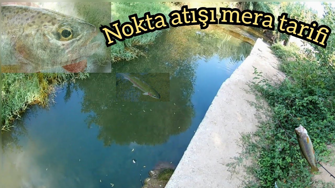Alabalık Avı LRF Şamandıralı / Muhteşem bir yerde Alabalık avı Adana