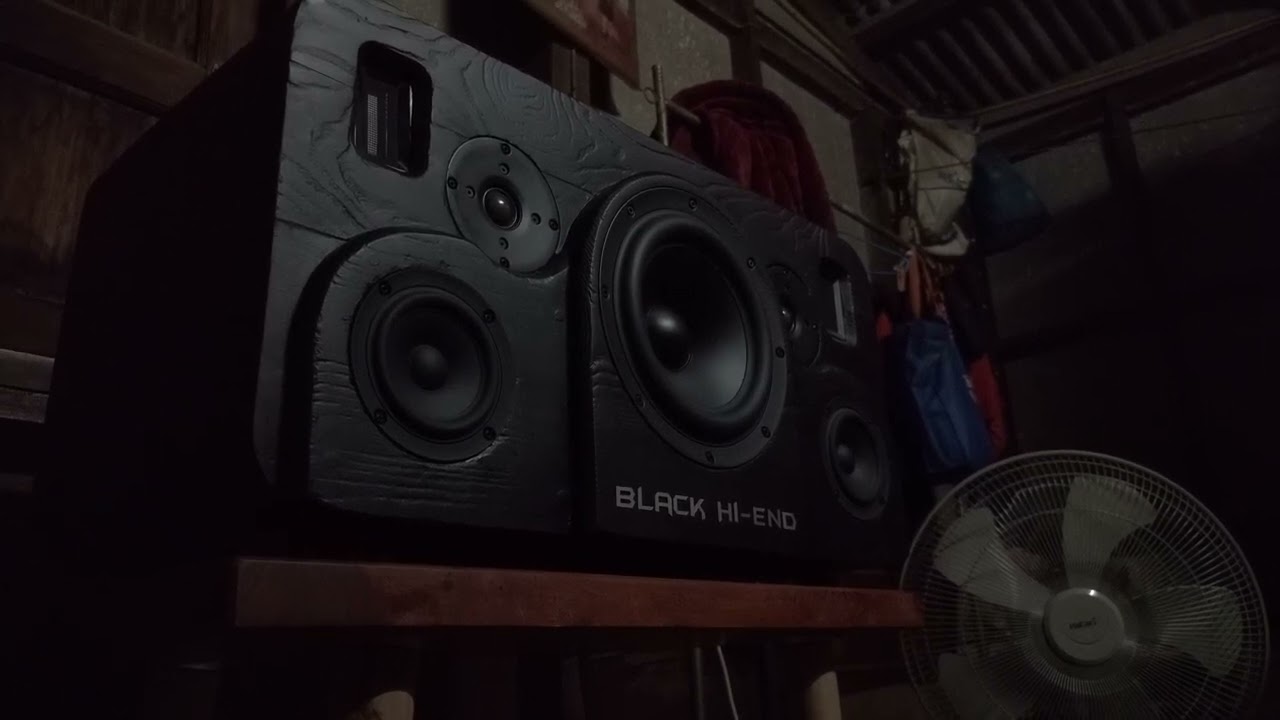 In the end, SB Acoustics SB23MFCL45-4, 8