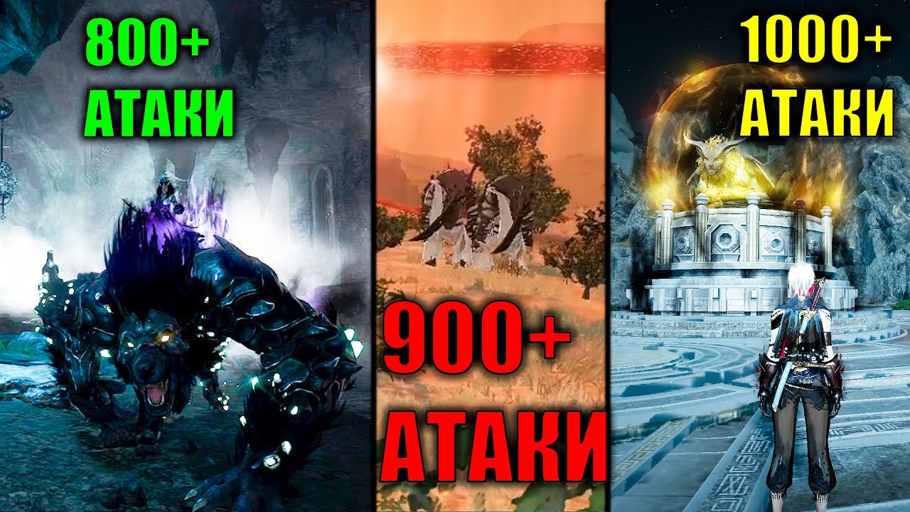 Black Desert ЛУЧШИЕ СПОТЫ ДЛЯ НОВИЧКА В 2026