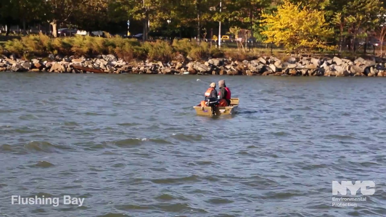 NYC Waterways—Flushing Bay