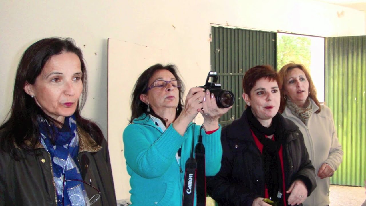 Mosebey 2012