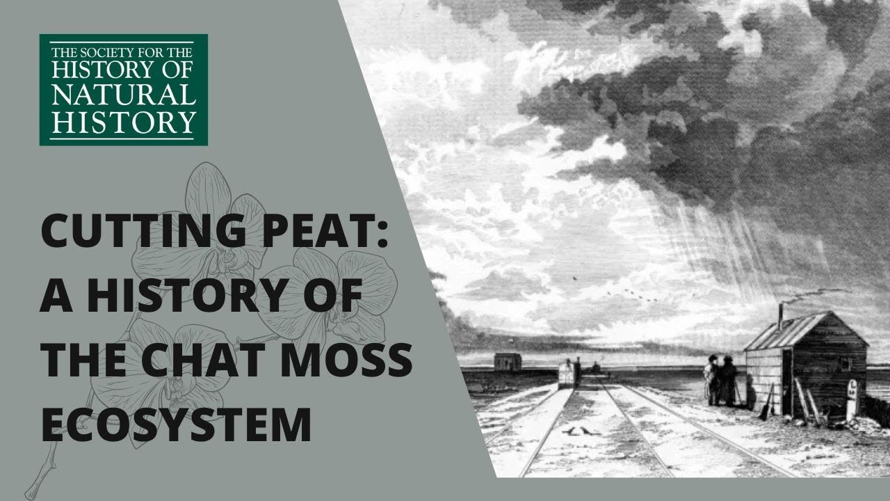 Cutting Peat: The Historical Ecology and Dissection of the Chat Moss Ecosystem
