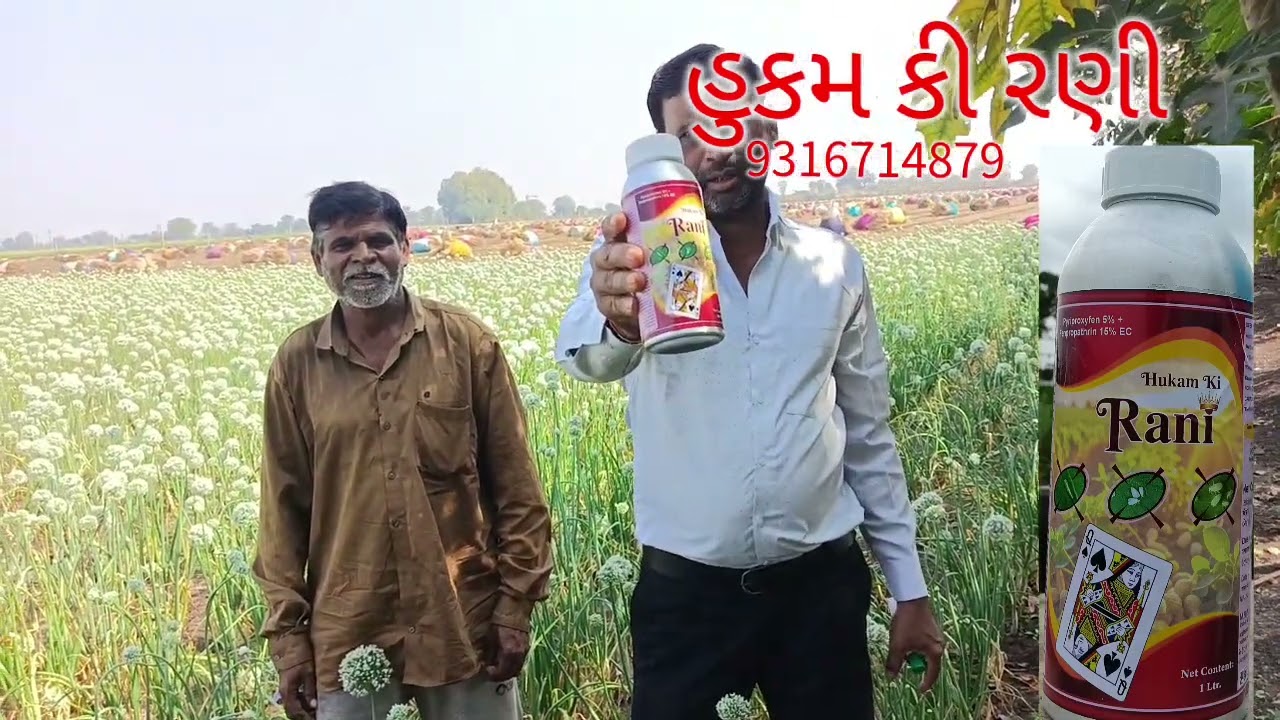 લાઈક અને શેર સબ્સ્ક્રાઇબ કરતાં રહે જો 9316714879