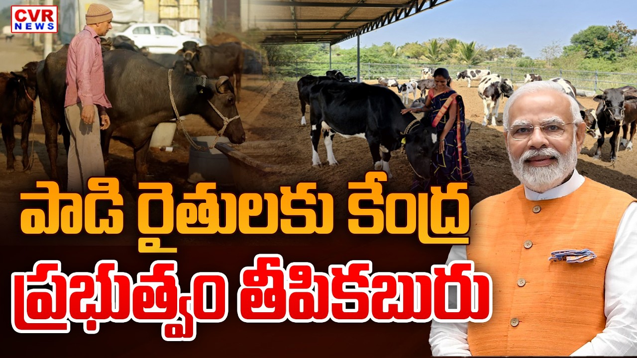 Central Government Key Decision On Dairy Farmers | Central Govt Good News To Dairy Farmers | CVR