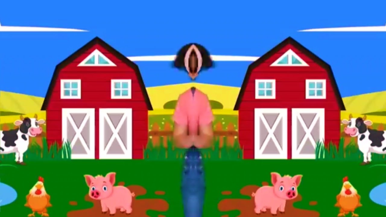 ANIMALS SURROUNDINGS