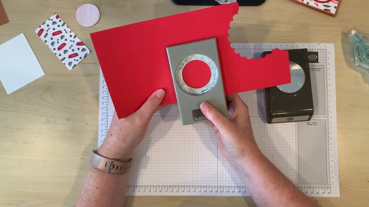 Fun Fold Half-Panel Card with Playful Pets DSP