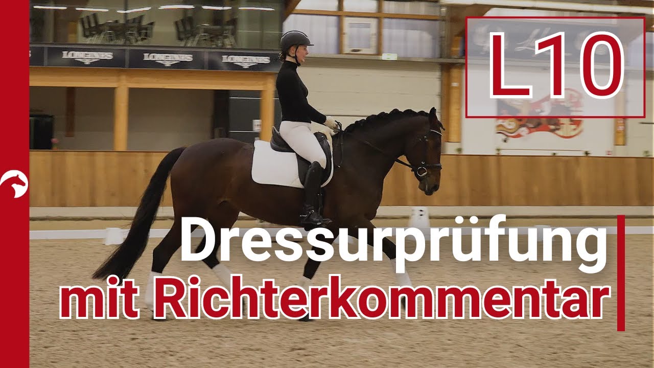 L10: Hier werden viele Lektionen geprüft! | Dressuraufgabe Kl. L* mit Richterkommentar