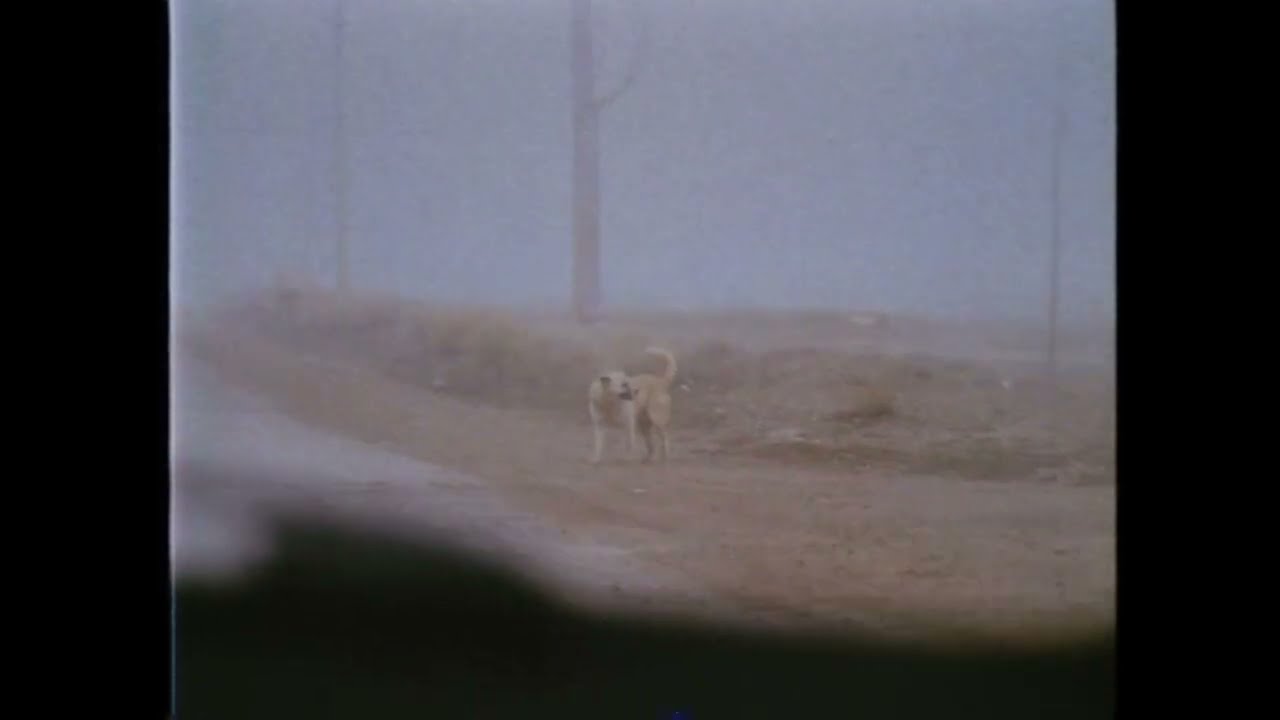 Doğar Yaz Ayları (s l o w e d + r e v e r b)