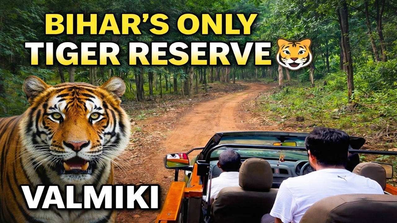 Valmiki Tiger Reserve Is A MUST VISIT Destination || BIHAR || Tourism