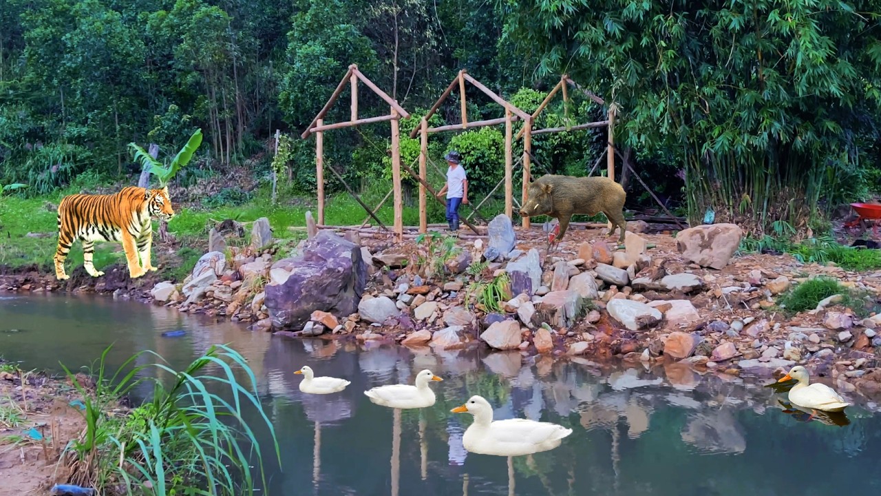 CEO Builds a Shelter || Wooden Hut with Thatched Roof to Avoid Wildlife