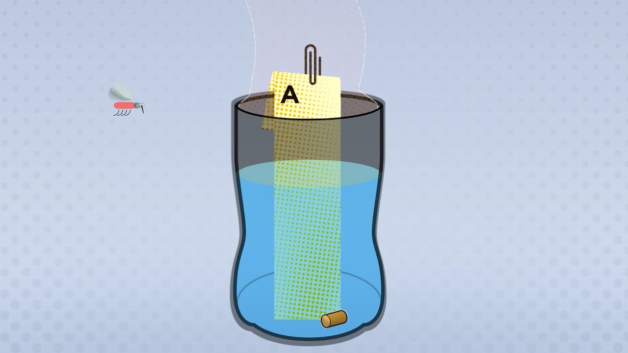 PacMOSSI Mosquito Egg Collection Trap Explainer