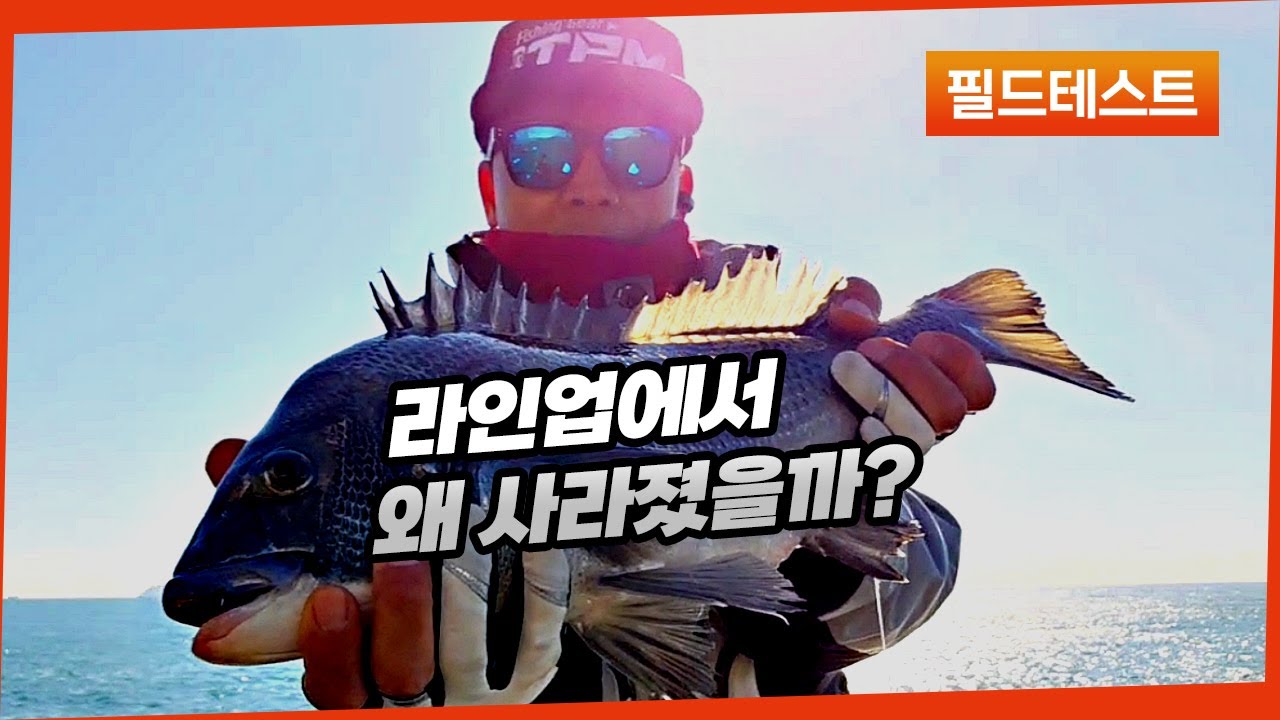 [필드] 오짜 감성돔도 강제 집행!? - 펄션 1.25-500 필드 테스트