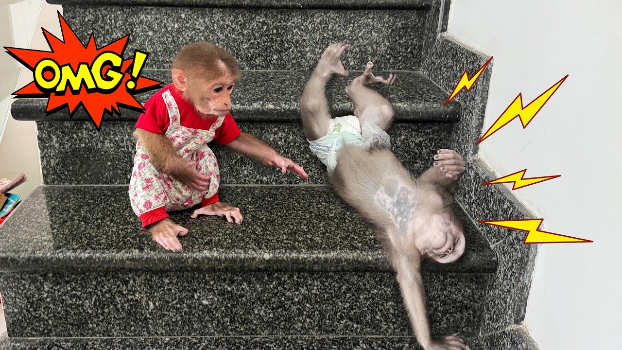 Sunny is terrified when she sees Lucky faint on the stairs!
